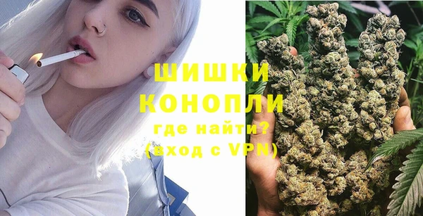 сатива Беломорск