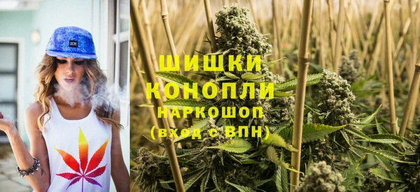 спиды Аркадак