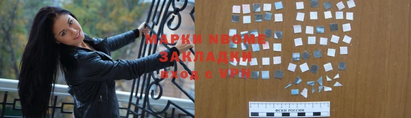 сатива Беломорск