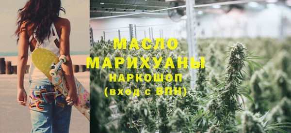 сатива Беломорск