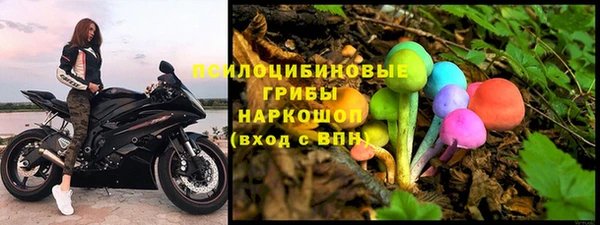 сатива Беломорск