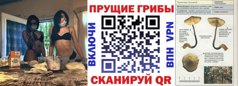 Галлюциногенные грибы мухоморы  кракен ССЫЛКА  Воркута 